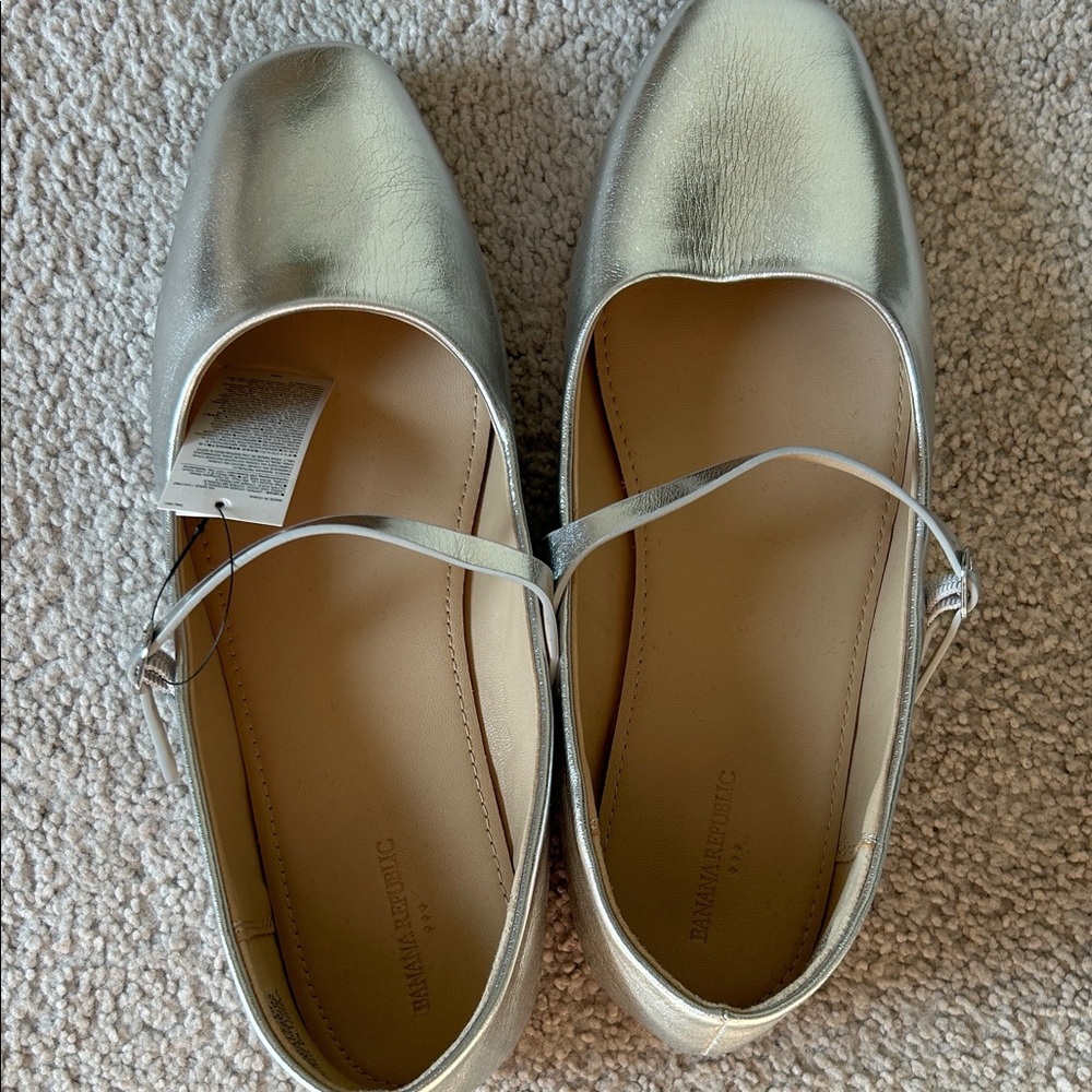 Banana Republic Metallic Silver Flats